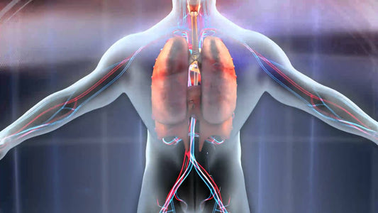 MEDICAL ANIMATIONS